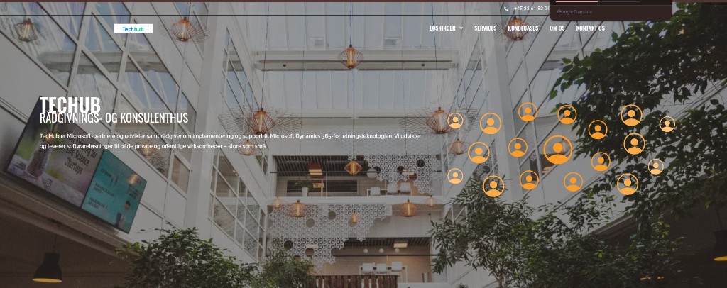 TecHub Dynamics 365 consultancy preview